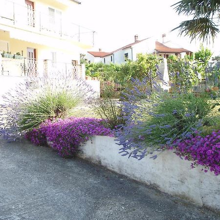 Guest House Jasmin Rovinj Eksteriør billede